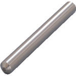 NAKANISHI 57553 Diamond single-stone dresser 100×shaftφ11